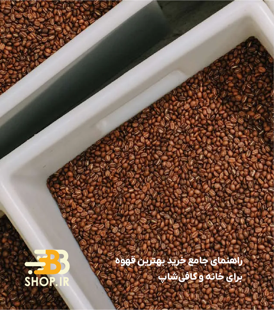 فرق قهوه عربیکا و روبوستا و چگونه انتخاب کنیم