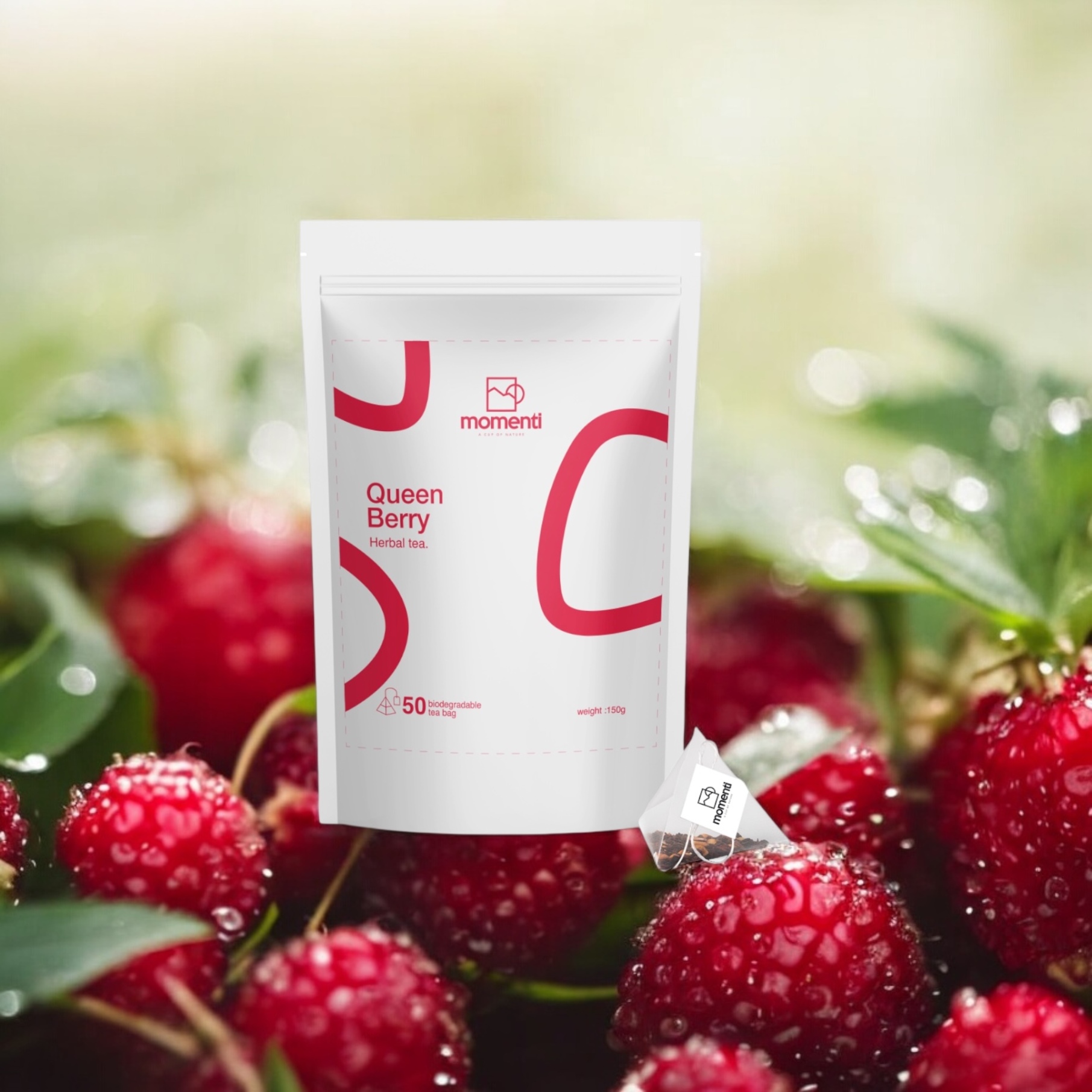  خرید دمنوش کویین بری مومنتی | B3shop.ir | momenti 