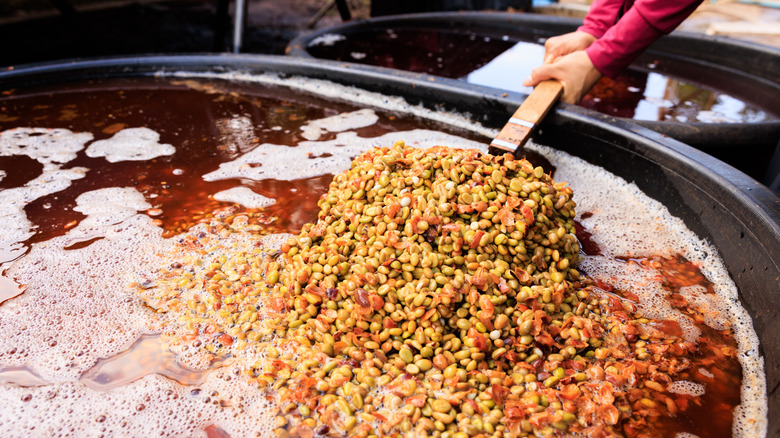 وضعیت فعلی صنعت درباره قهوههای infused کجاست؟