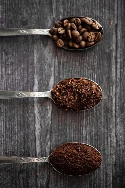 راهنمای جامع خرید بهترین قهوه برای خانه و کافی‌شاپ
