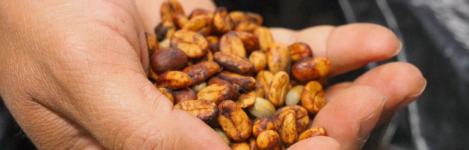 وضعیت فعلی صنعت درباره قهوههای infused کجاست؟